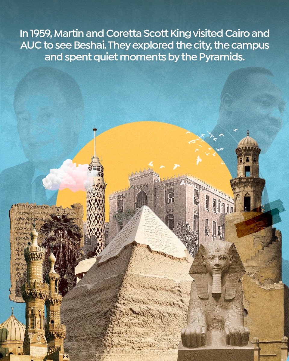 AUC tweet media