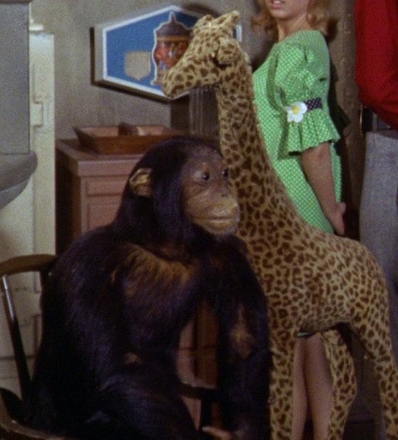 the monkees facts & updates tweet media