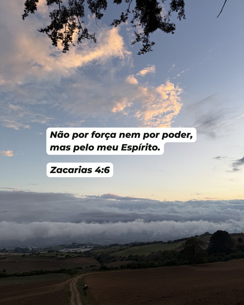 J. Daniel Fernández S tweet media