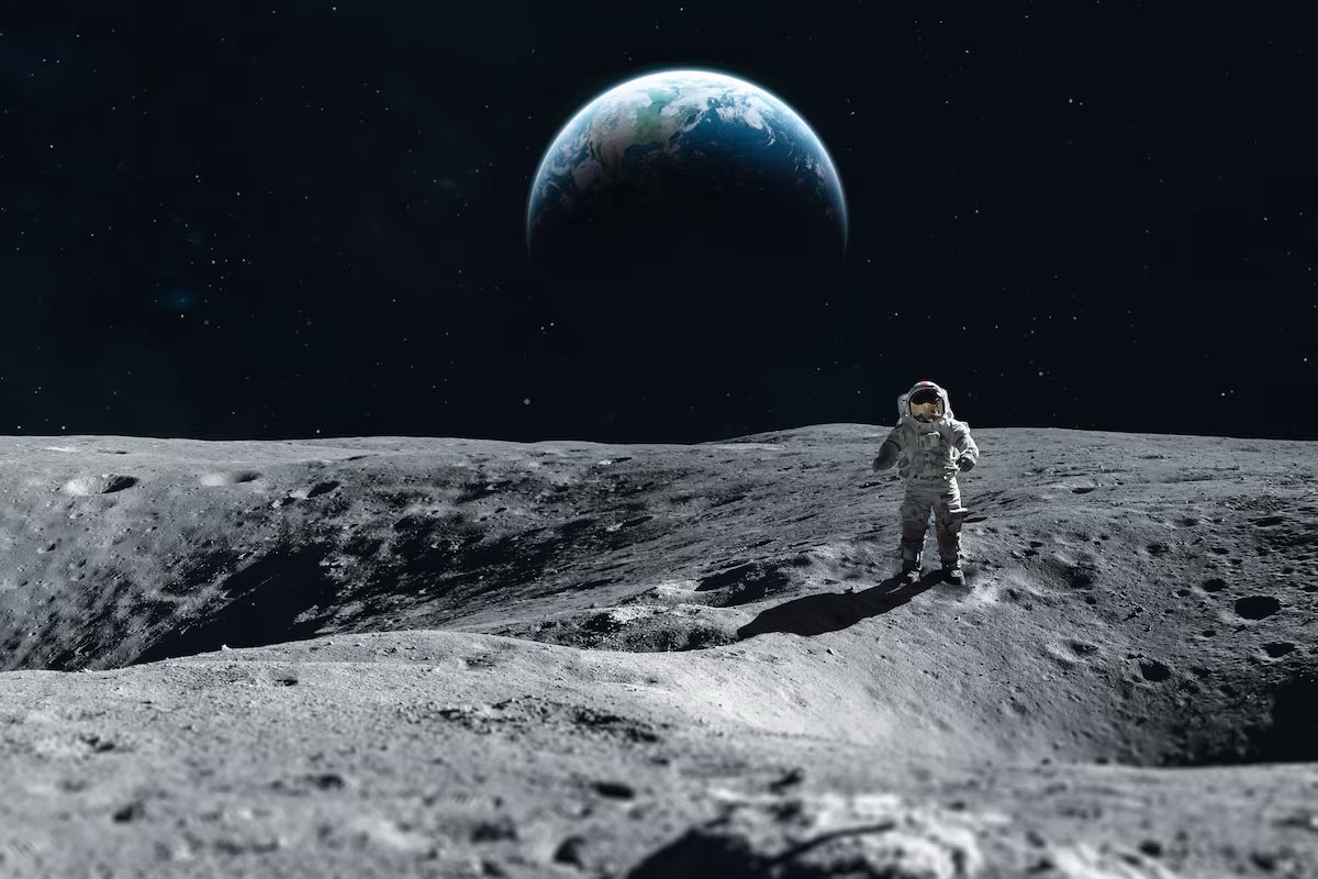 🇹🇷 tweet media