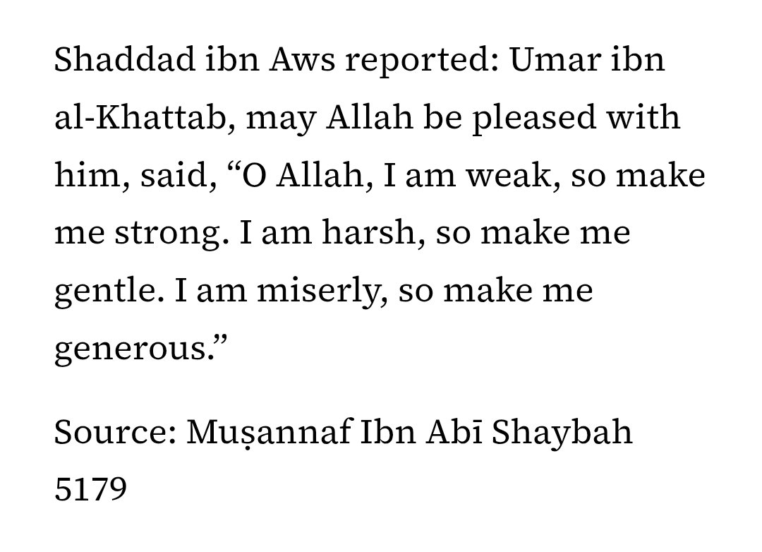 al-Nasafī tweet media