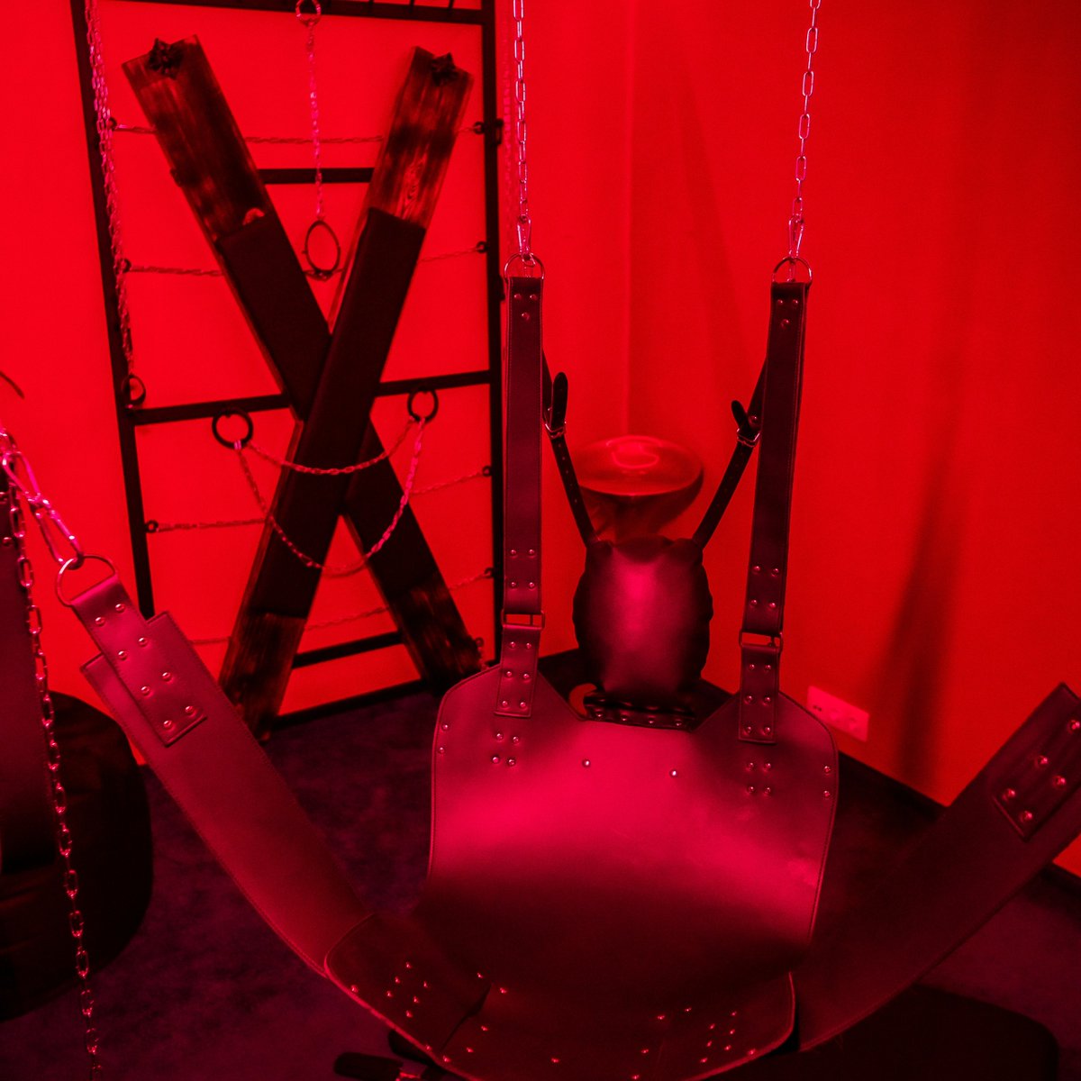 Lifeinstyle tweet media