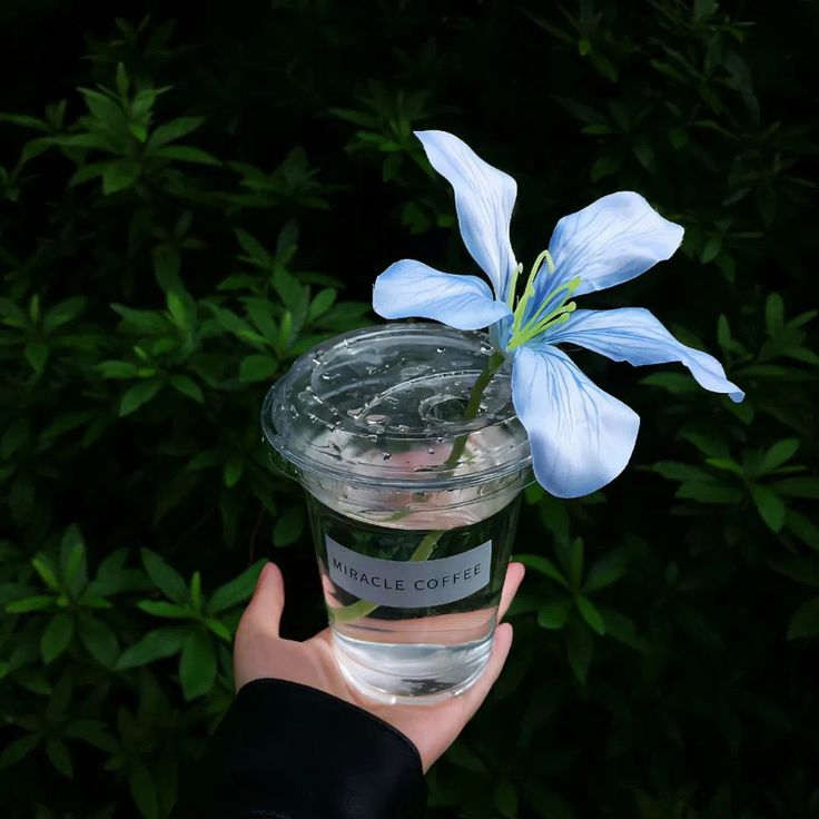 greenvibe's tweet image. 