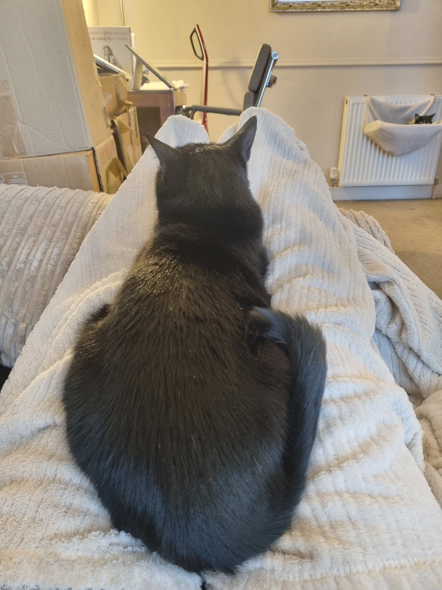 Julia Anne tweet media