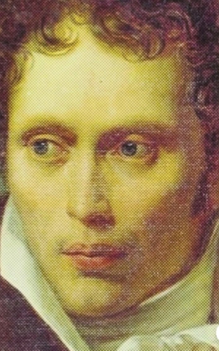 poodles gaze tweet media