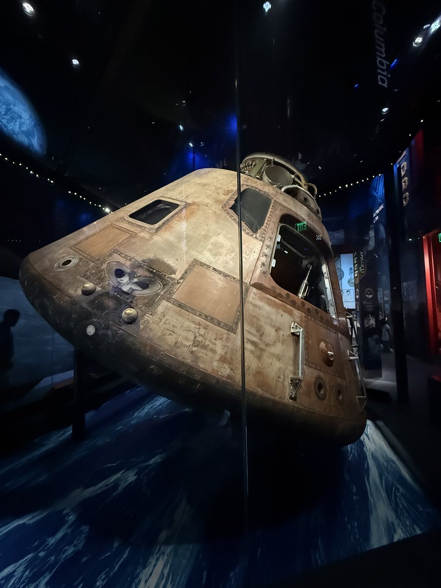 meowtown tweet media