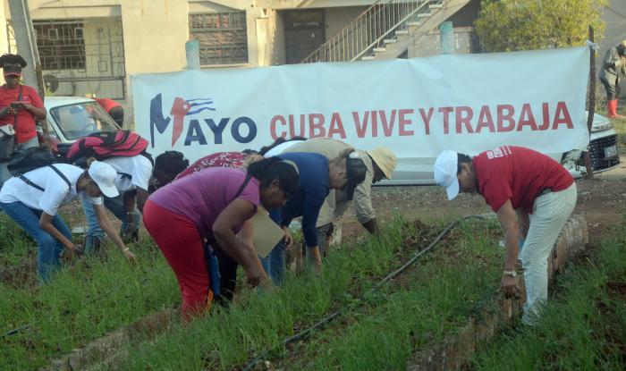 Periódico Granma tweet media