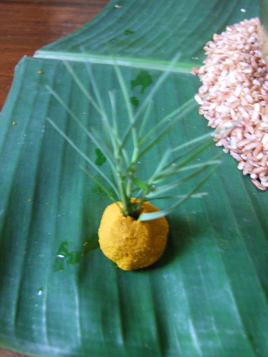 DushiYanthini tweet media