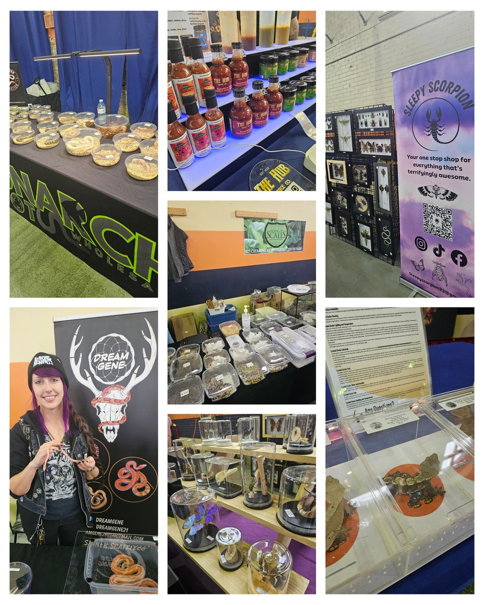 PETE 99.7 tweet media