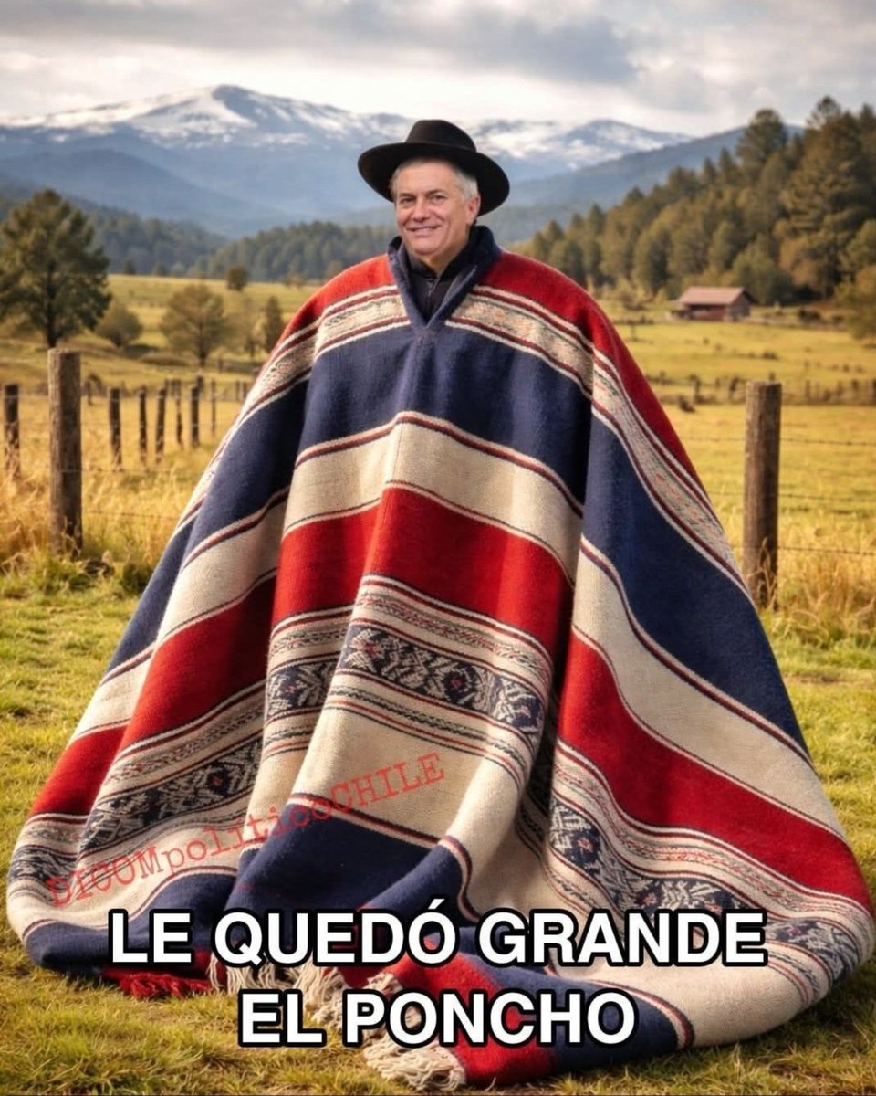 Oso el perro tweet media