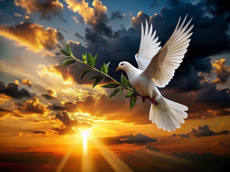 HypeTime01 tweet media