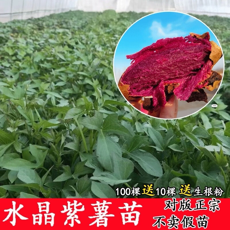 Jesus Herbert Christ tweet media