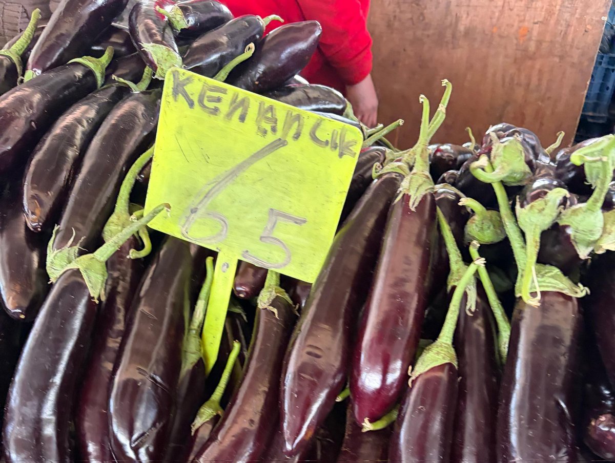 Gaziantep Gündem 🇹🇷 tweet media