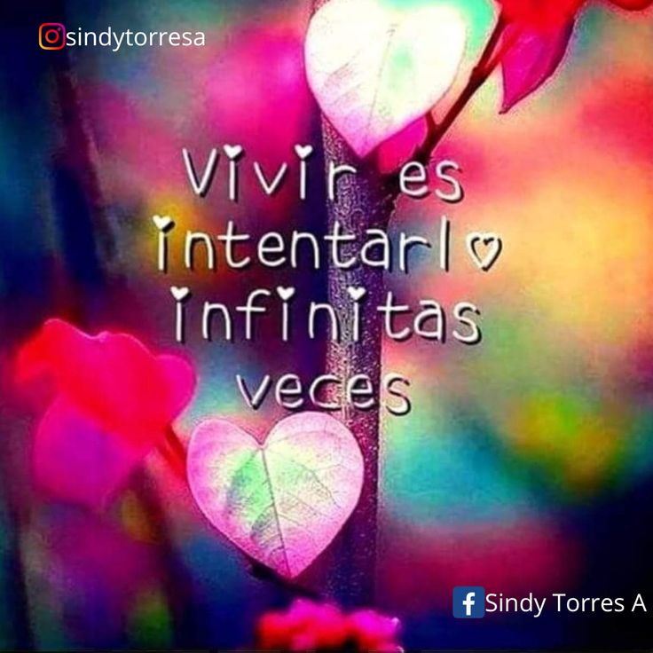 Elv I🎗️a tweet media