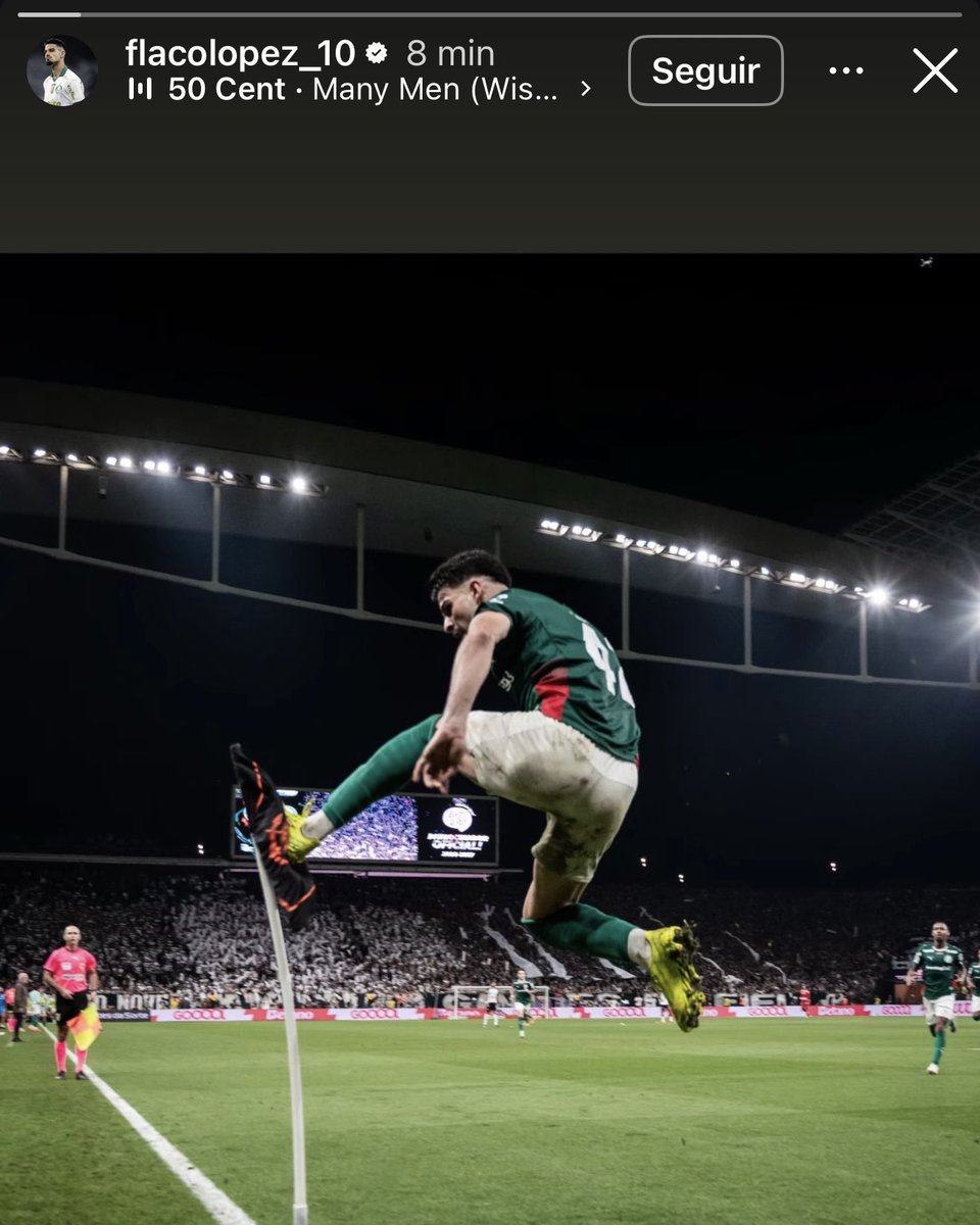 Palmeiras da Depressão tweet media