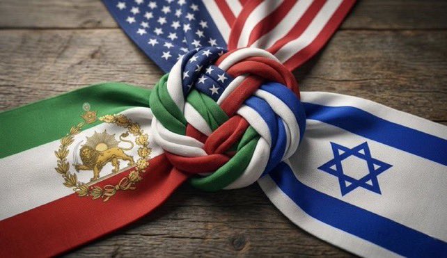 Marilyn Hauck tweet media