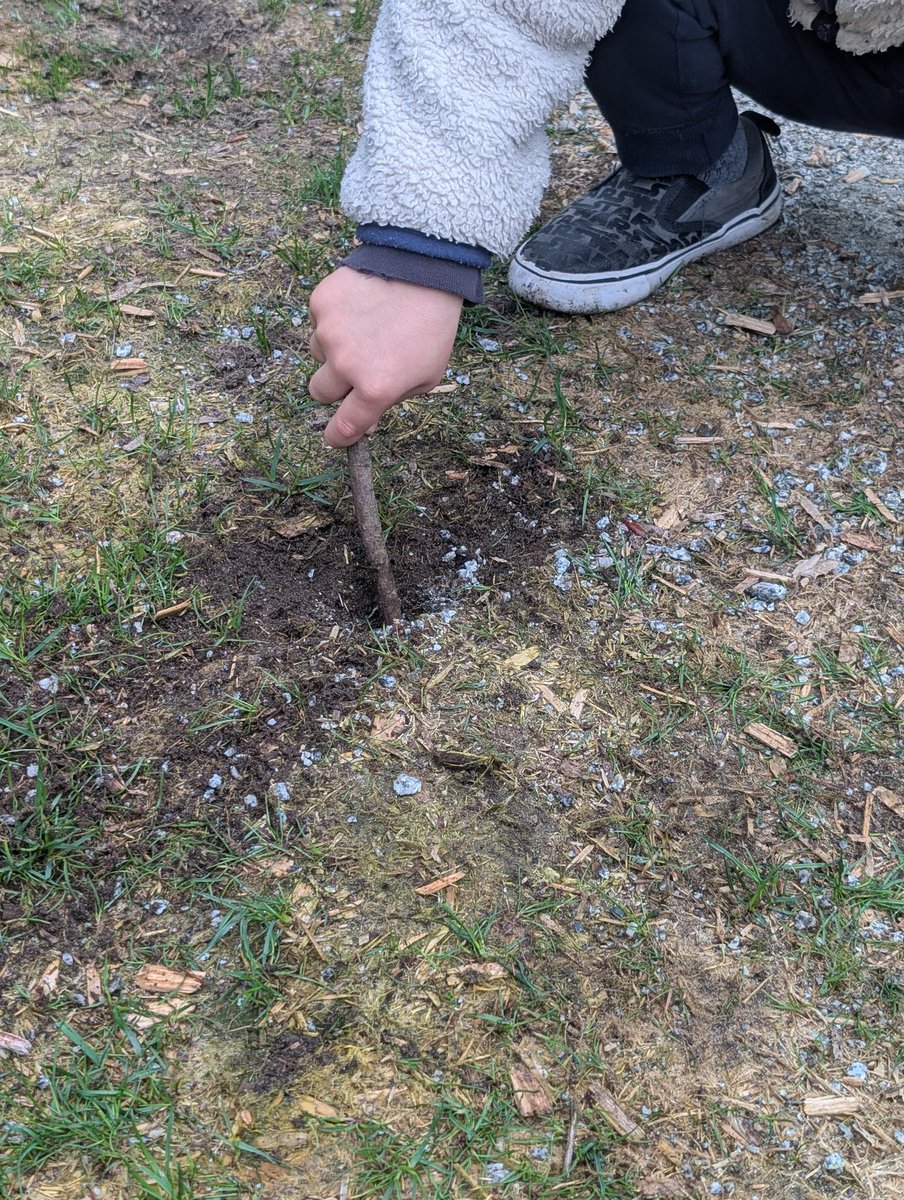 Taso 🇨🇦YVR tweet media