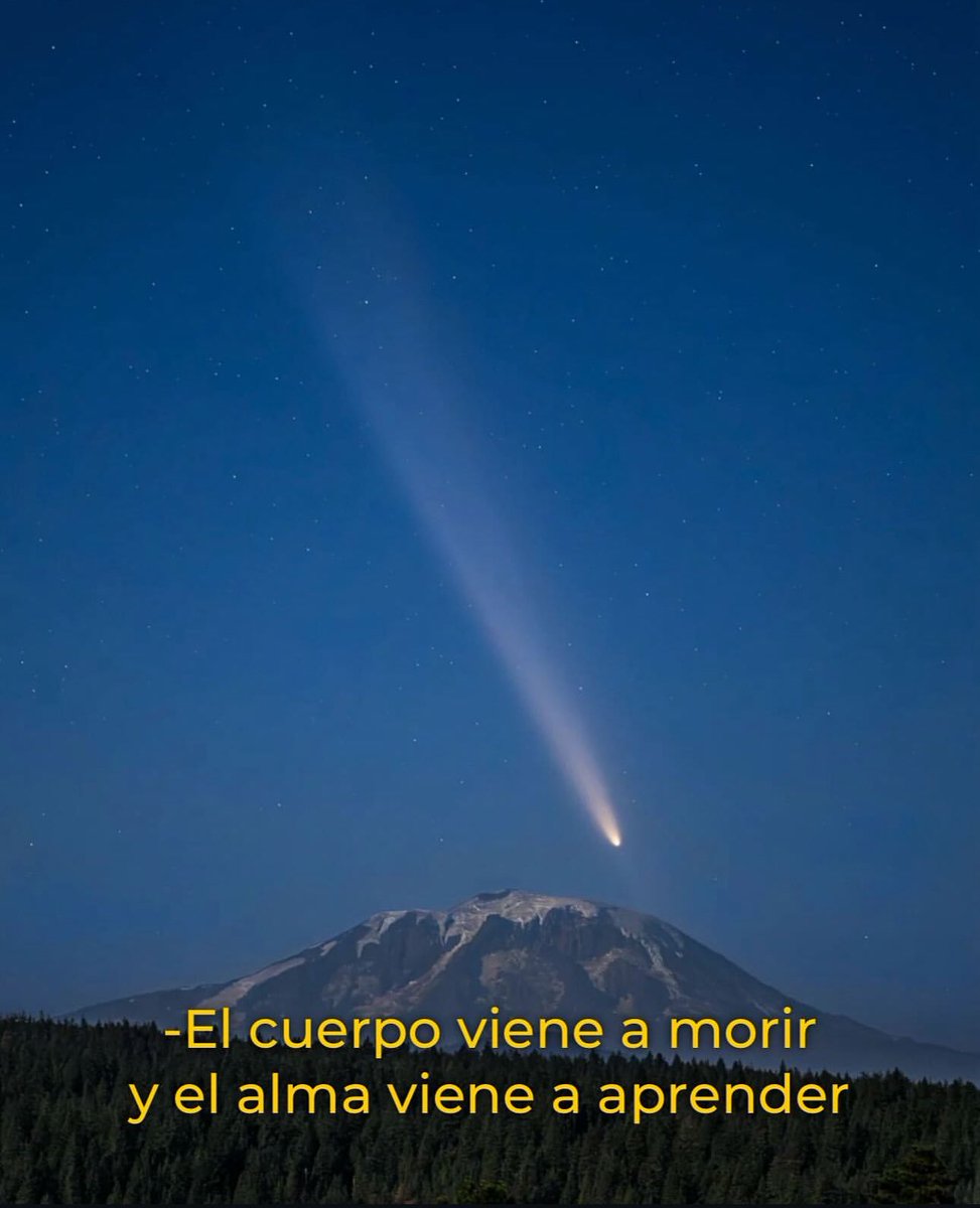 Nico Lezcano tweet media