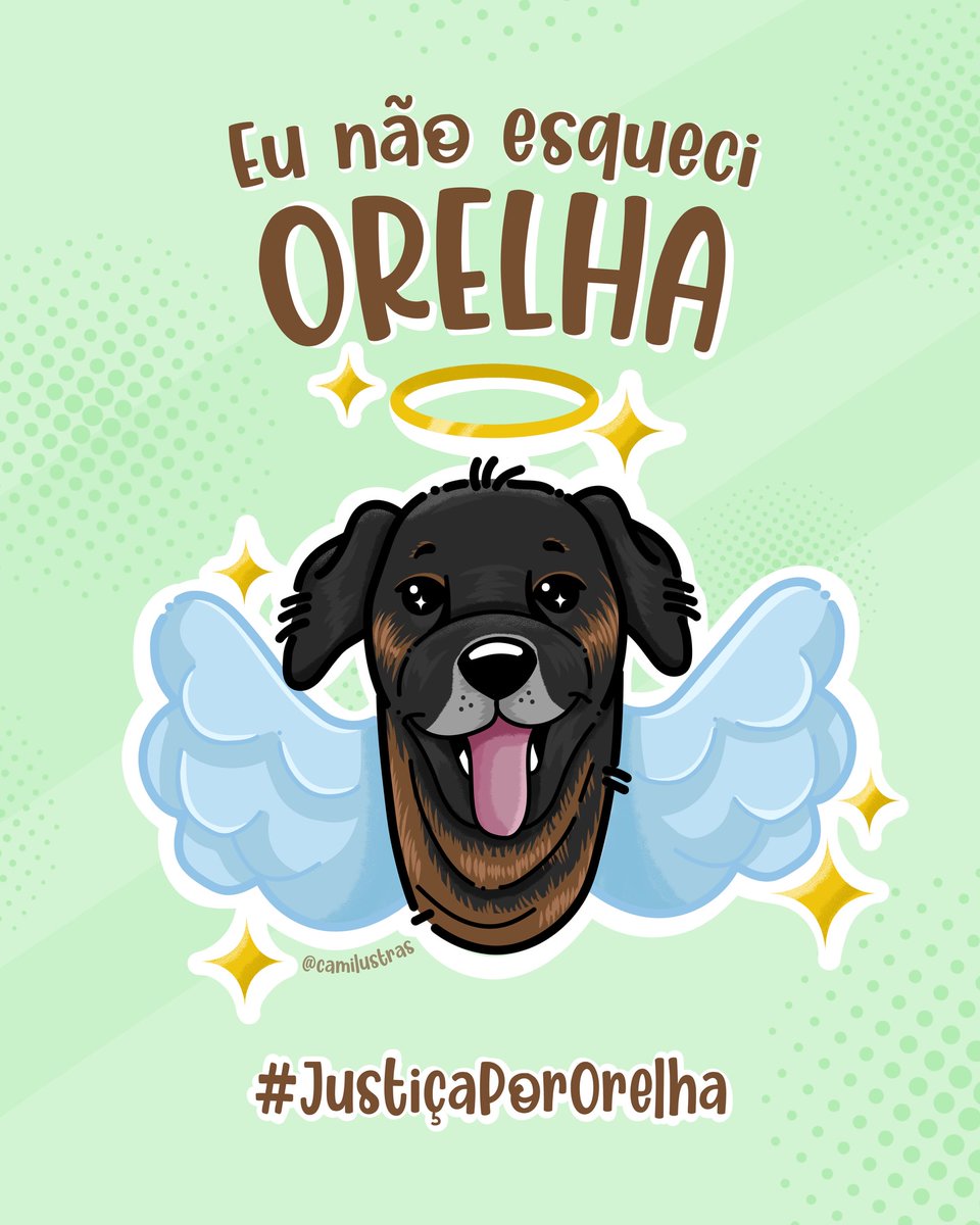 Miguel Jr Gyn🚩🚩🚩💯🦂🥂 tweet media