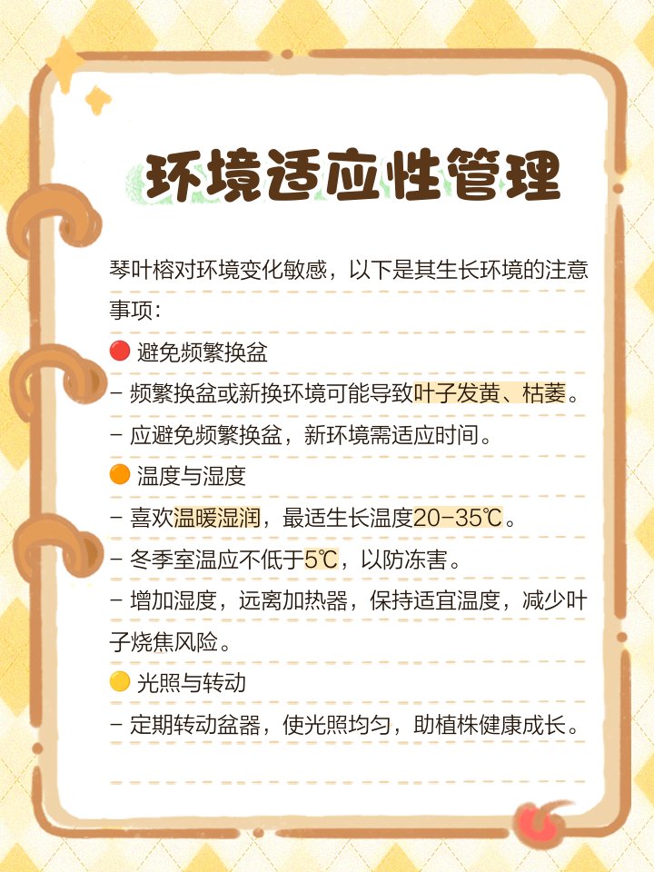 matheus moura tweet media