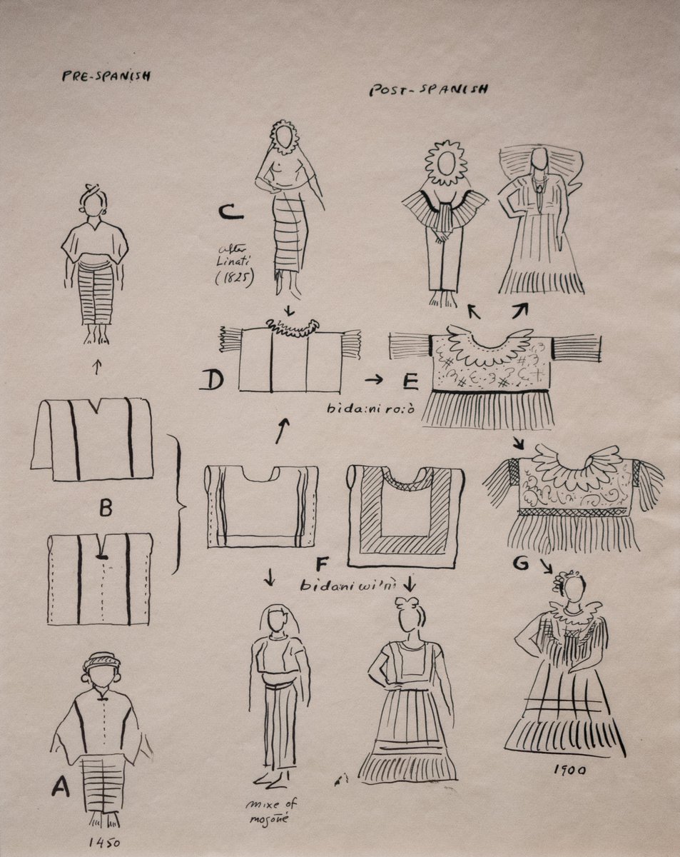 Lycaon ࿓ tweet media