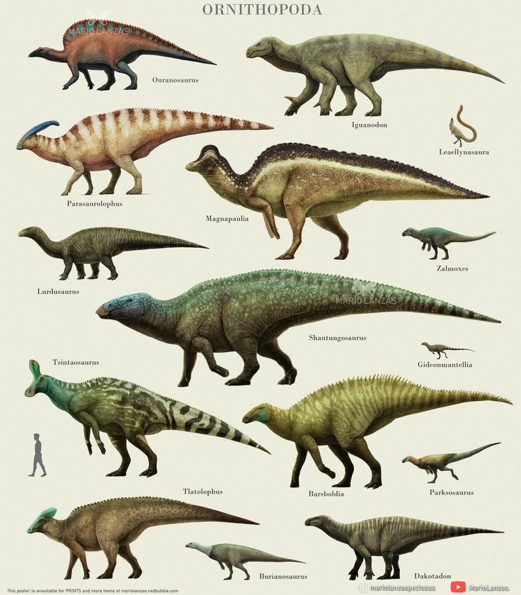 🇻🇪Pingu🇻🇪(COMMISSIONS OPENS) tweet media