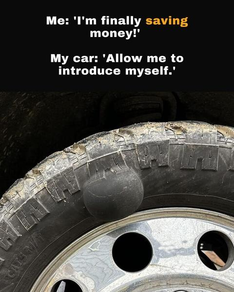 Bill Holybee tweet media