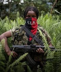 BR Reformas de Base tweet media