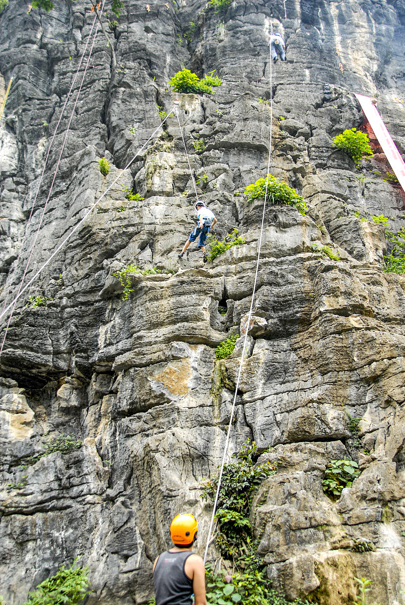 Todd Nunez tweet media