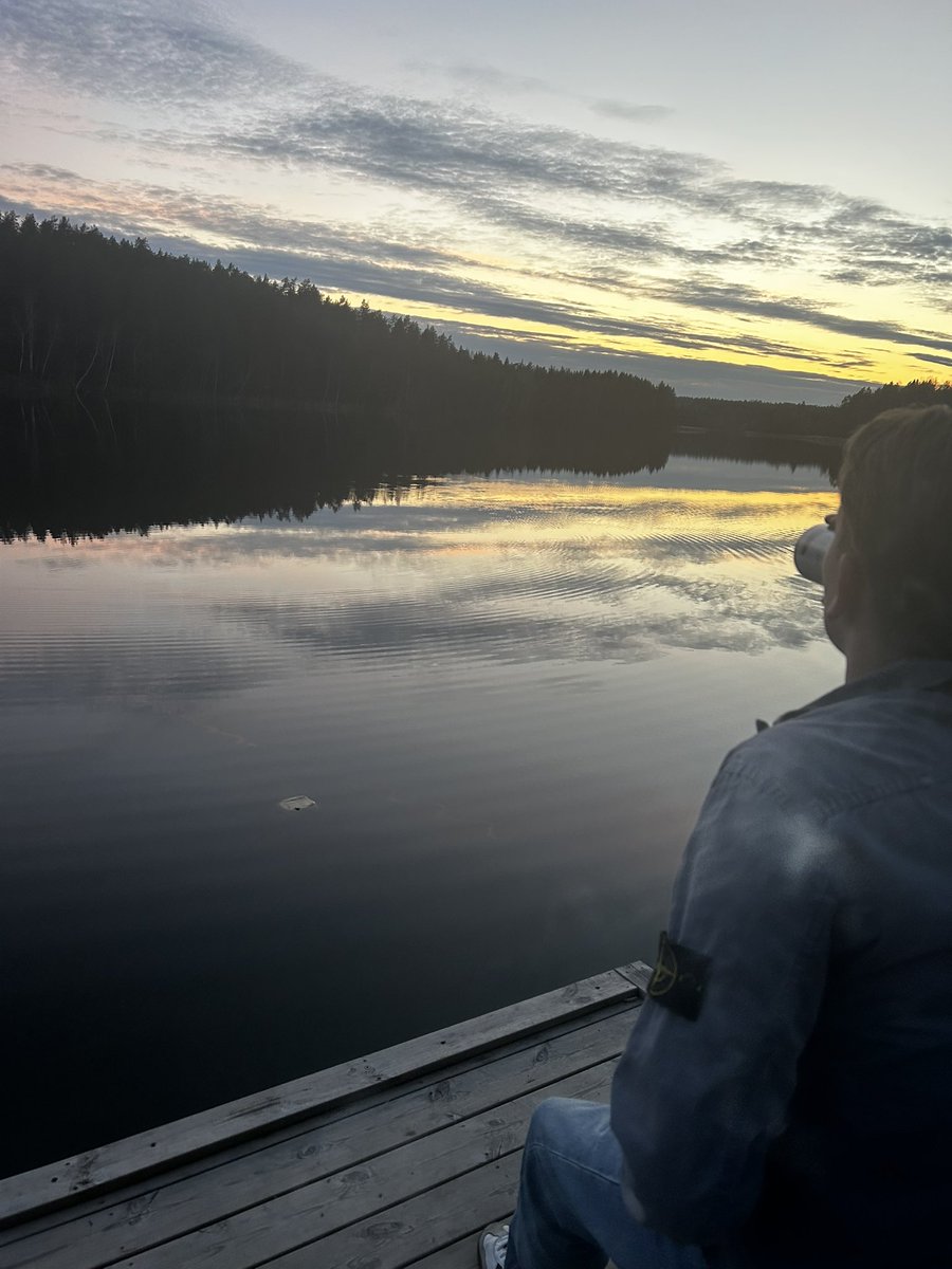 momentumviggo tweet media