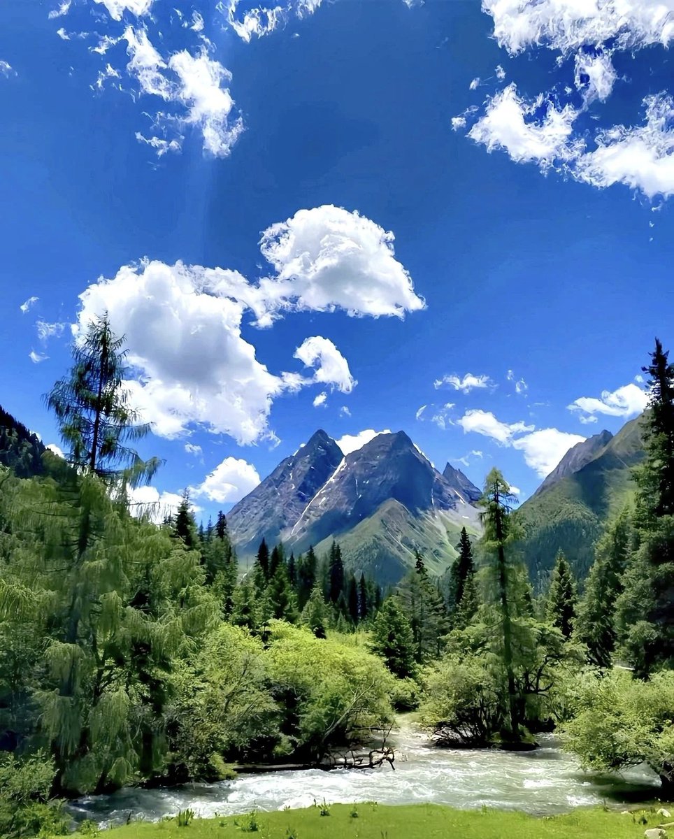 tttttttttt812736 tweet media