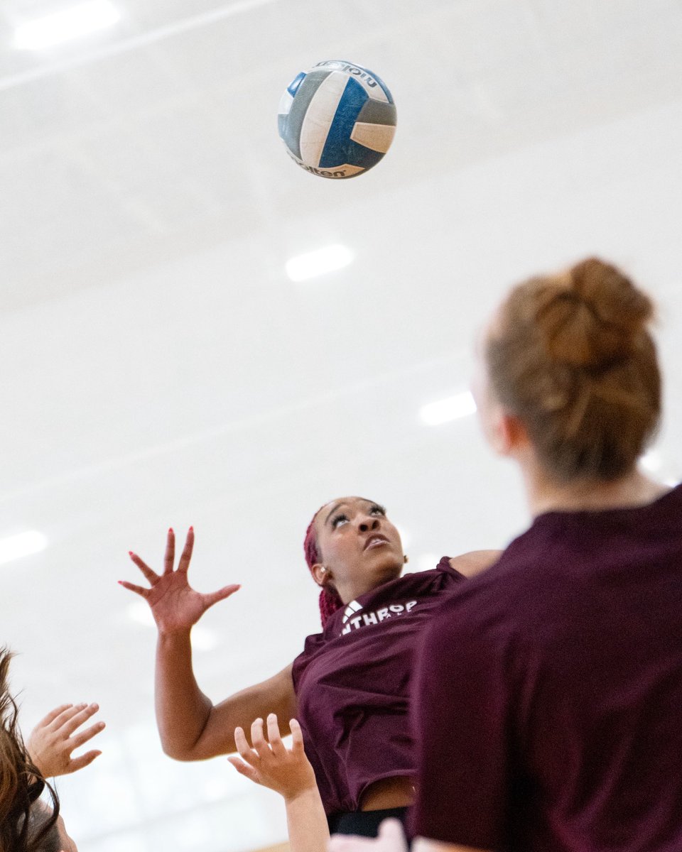 winthropvolley's tweet image. i know you missed us 🙂‍↕️

#ROCKtheHILL | #BigSouthVB
