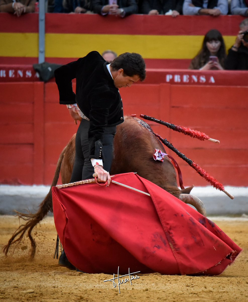 InfoDanielLuque's tweet photo. Dos orejas y vuelta al ruedo al toro 🔥(petición de indulto) https://t.co/Jc0AiCSBp7
