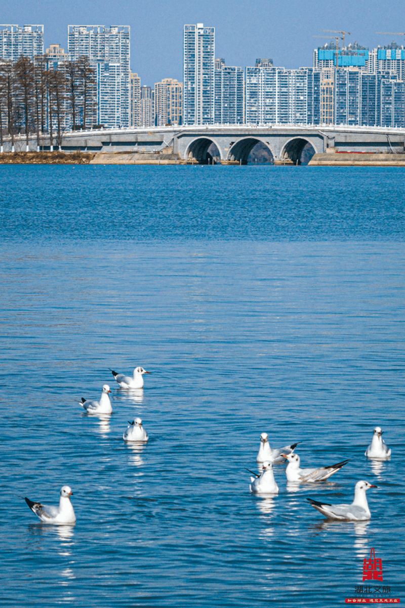 valentina3 tweet media