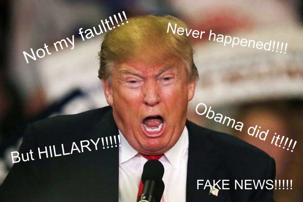 🌟SpiritOnParole🌟 tweet media