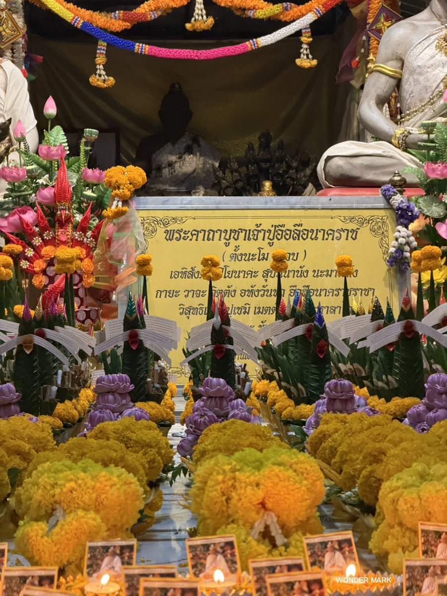 WONDER MARK💕 tweet media