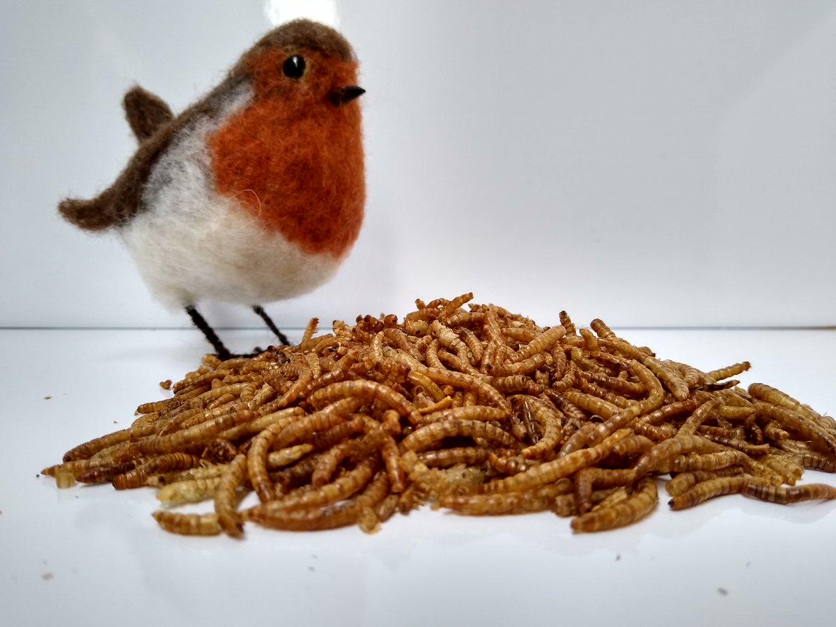 ♻️Hedge Buddies - Ecofriendly Wild Bird Food♻️🐦 tweet media