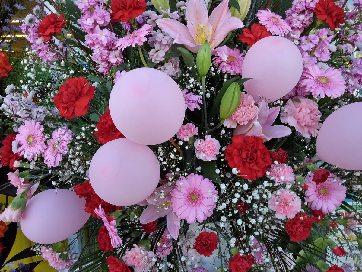 百暇 涼覧 tweet media