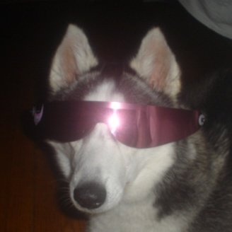 Salty McDikTits tweet media