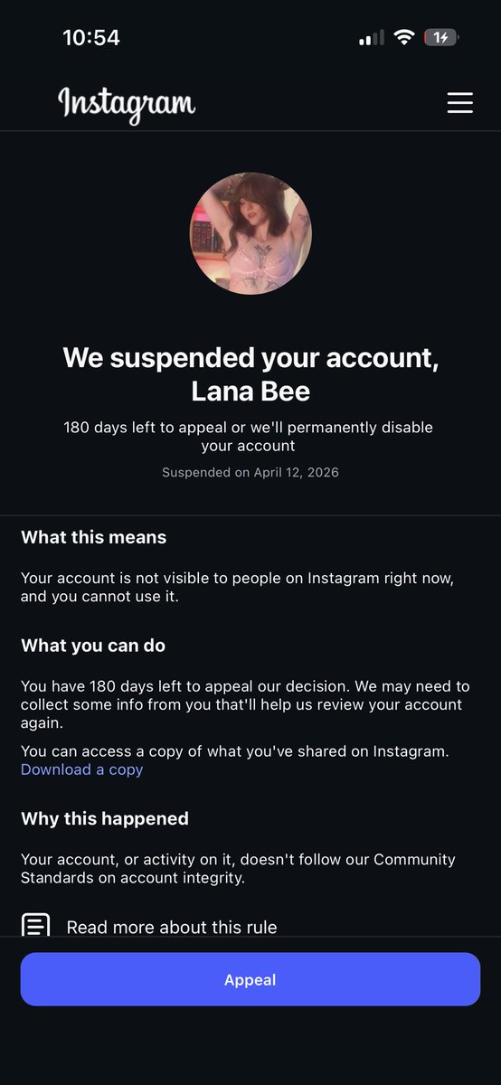 Lana the Bug 🪲💕 tweet media