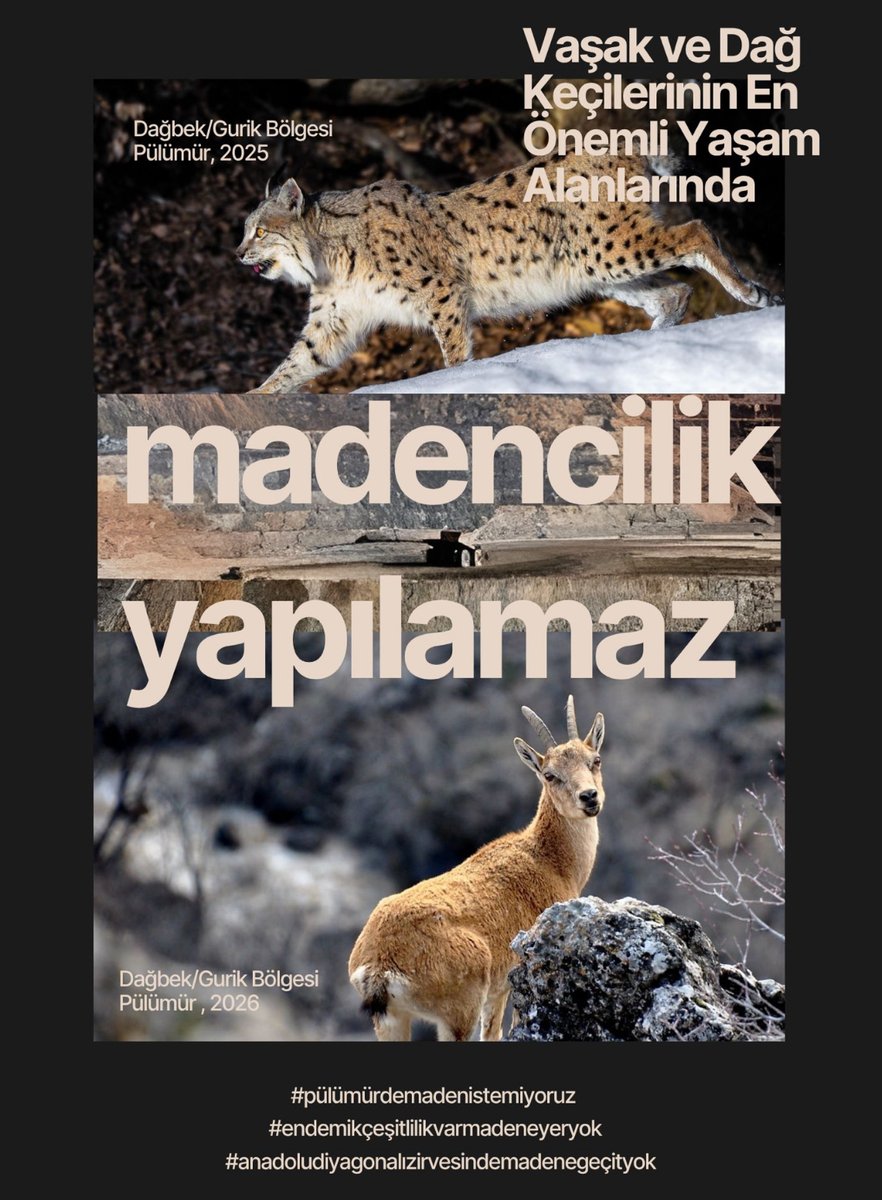 Pulumurdedoga's tweet photo. Bitki çeşitliliğinin %14’ü endemik olan bir bölgede,Anadolu Diyagonalı’nın( kıtanın en önemli  biyoçeşitlilik merkezi ) zirvesinde ,Koruma altındaki Vaşağın ,dağ keçisinin yaşam alanlarında Madencilik olur mu? #pülümürdemadenistemiyoruz  @cbsgovtr https://t.co/5PkY45ZqIH