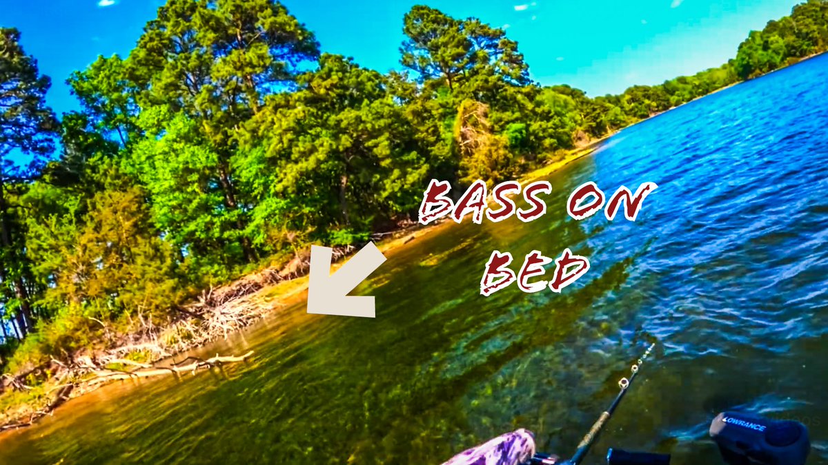 SteveBasingerFishing tweet media