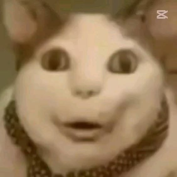 lala VAI VER O 5S0S ૮ ˶ᵔ ᵕ ᵔ˶ ა tweet media