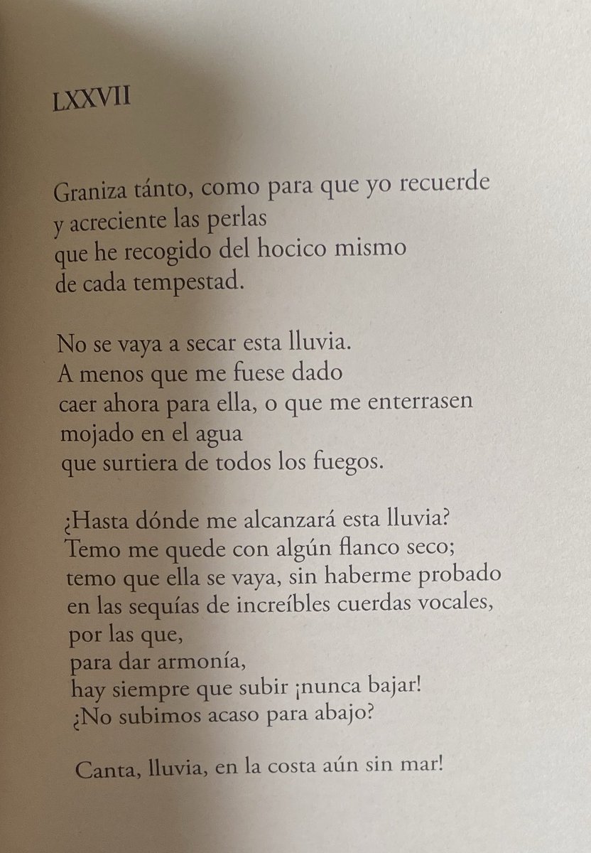 Salvatoro Nascimento tweet media