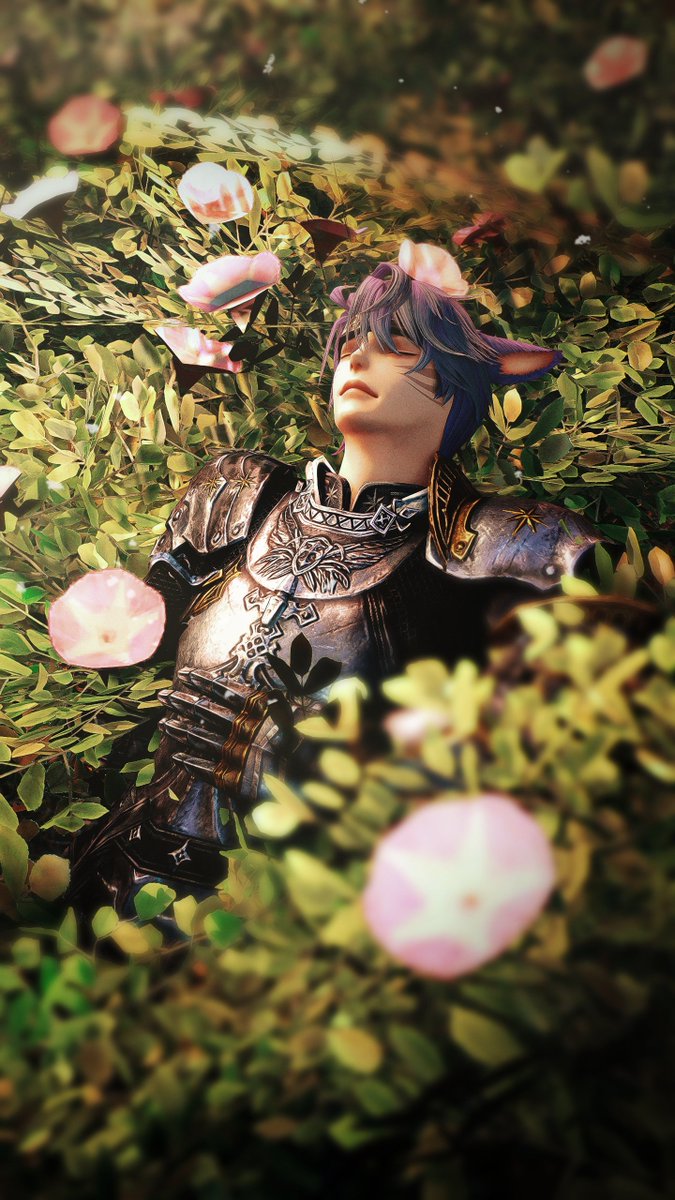 Rumo'a Rey tweet media