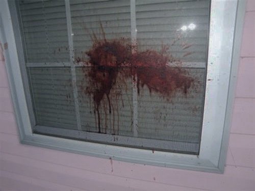 vamp thoughts tweet media