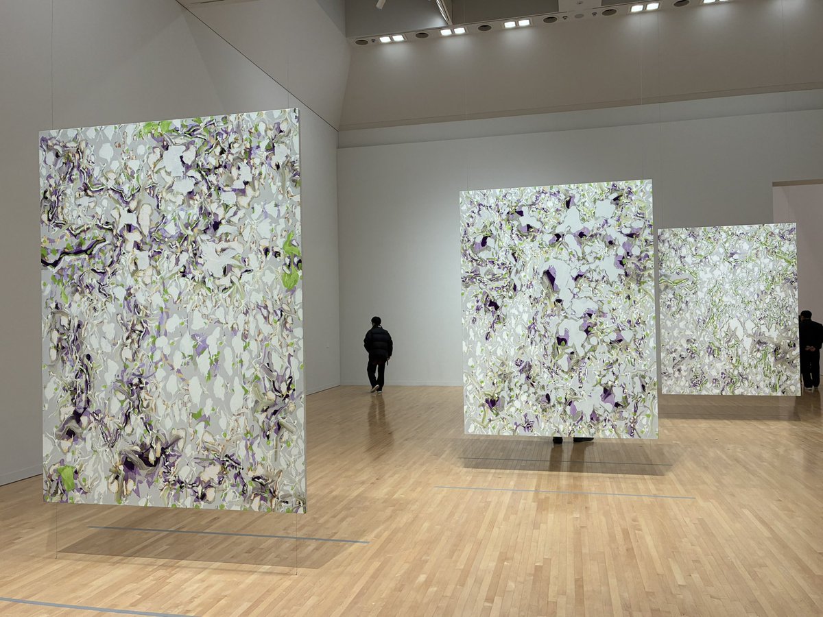 中澤友作 Nakazawa Yusaku tweet media