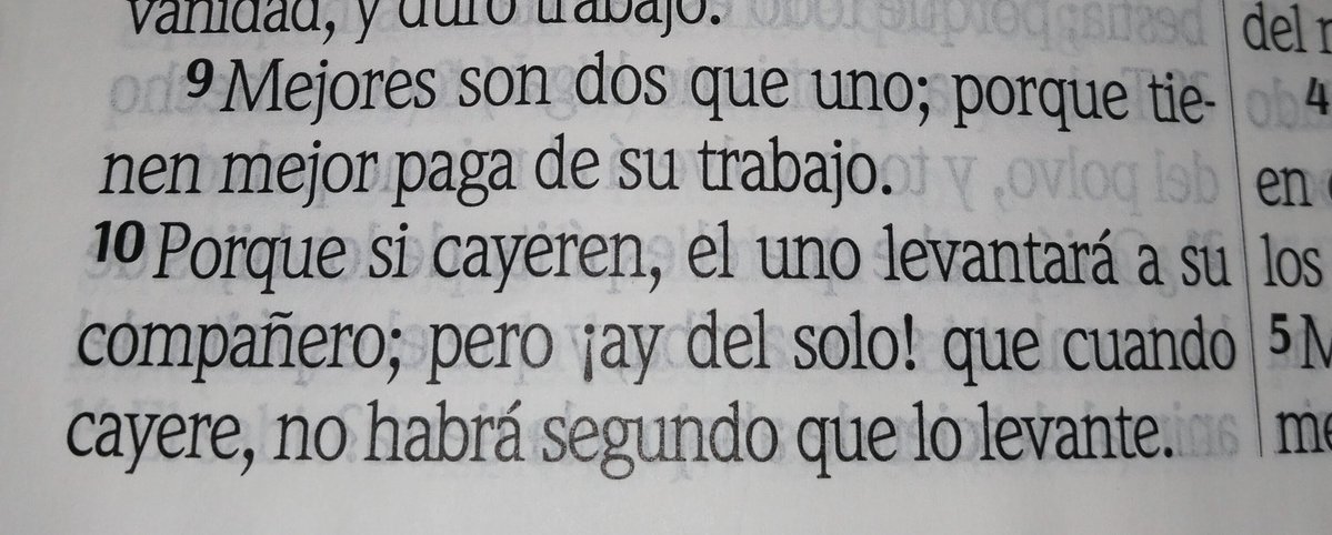 NELSON (@nelsonjokers) on Twitter photo 