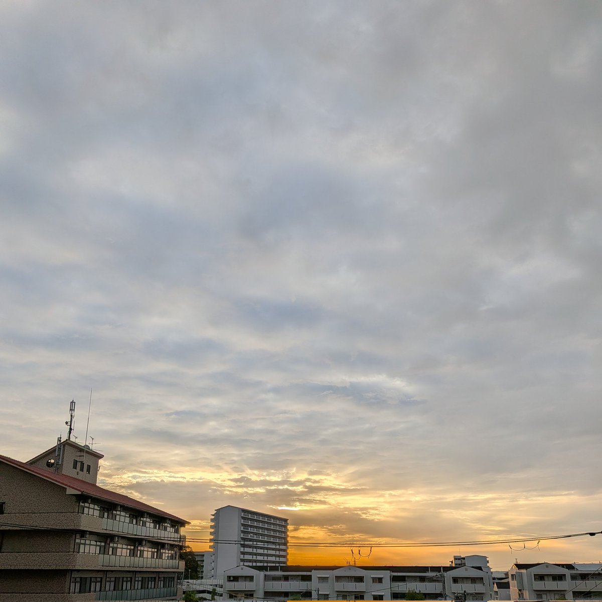 XmugLwwY8PlmunH's tweet photo. お早うございます🙂↕️
令和8年4月13日(月) 午前6時12分 大阪北部は曇り☁、気温12℃
本日の一枚
『ベリー・ベスト・オブ・ビージーズ』(1995)
皆様、良い一日をお過ごし下さい👍
#イマソラ
#Bee_Gees https://t.co/qctEvVLFtv
