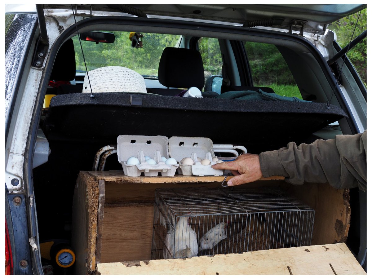 Xabier R. Blanco tweet media